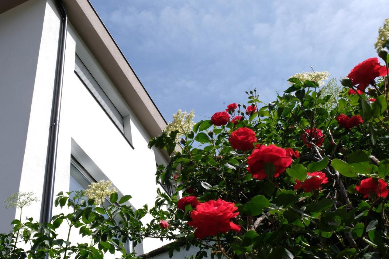 Apartment Le Rose Di Marianne - Ovest Vahrn Εξωτερικό φωτογραφία
